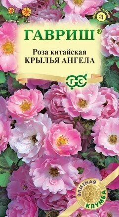 Роза Крылья Ангела, 5 шт