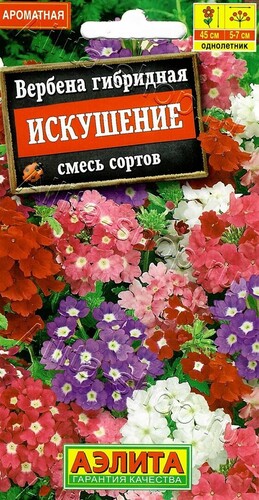 Вербена Искушение, смесь сортов 40шт