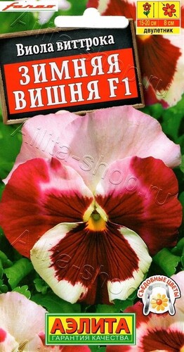 Виола Зимняя Вишня 0,1г