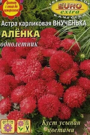 Астра внученька Аленка 0,1г