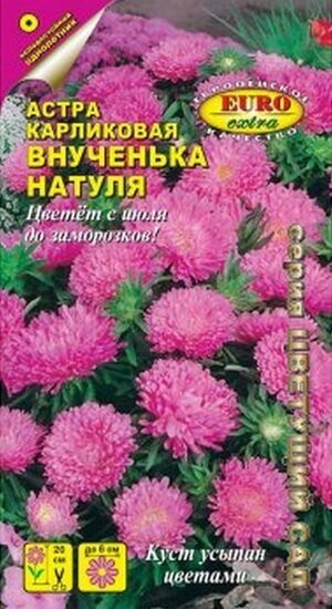 Астра внученька Натуля 0,1г