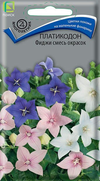 Плактикодон Фиджи смесь окрасок 25шт