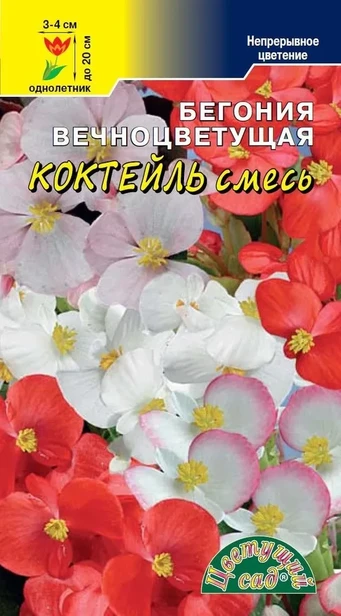 Бегония Коктейль смесь 10шт